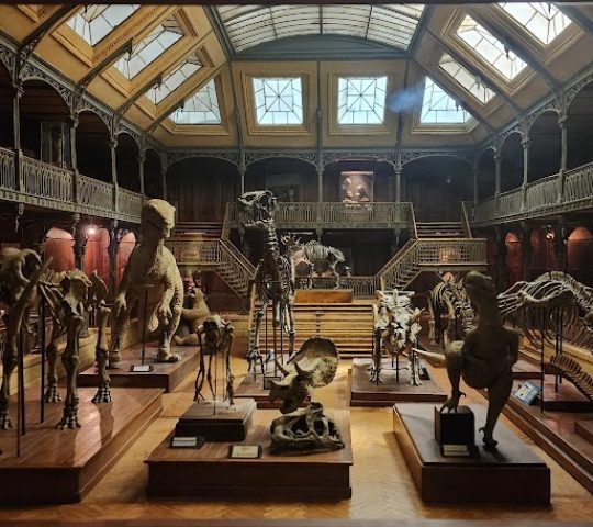 Musée Cinéma et Miniature